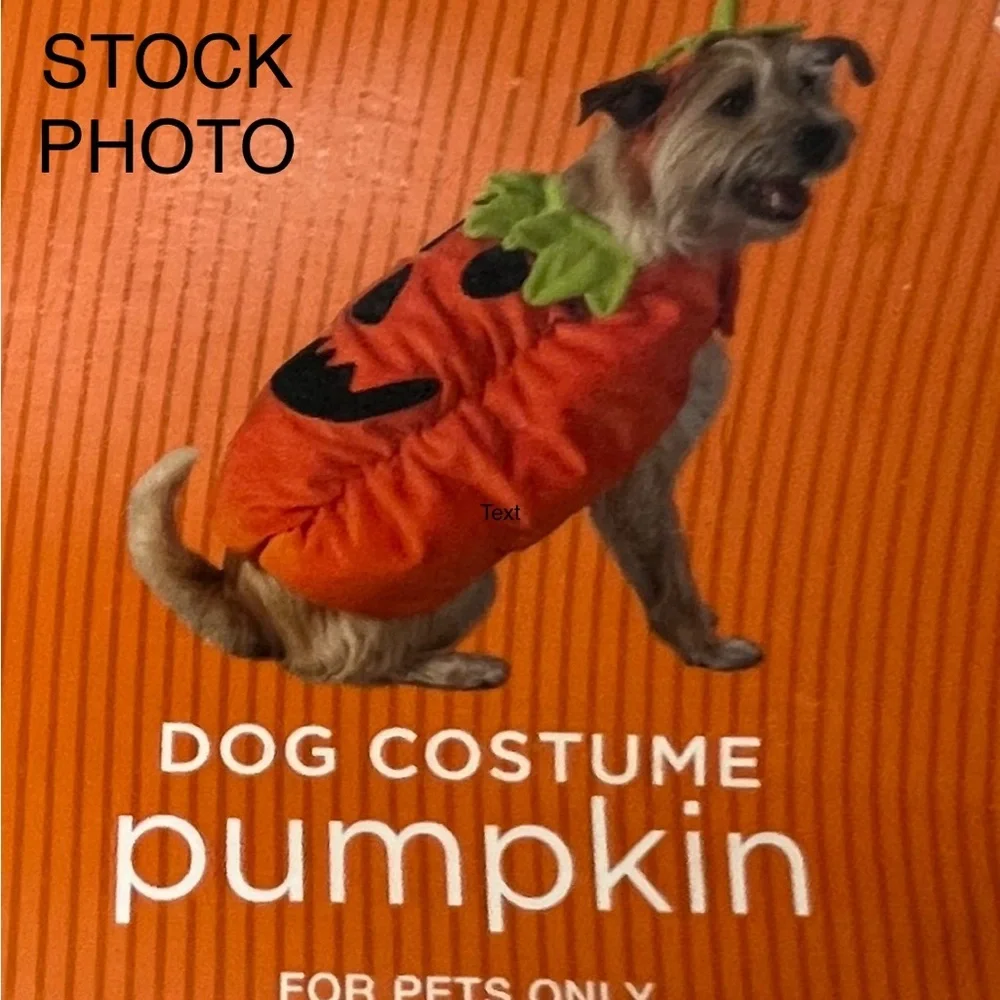 Pumpkin Dog Costume - Vibrant Orange and Leafy Green
